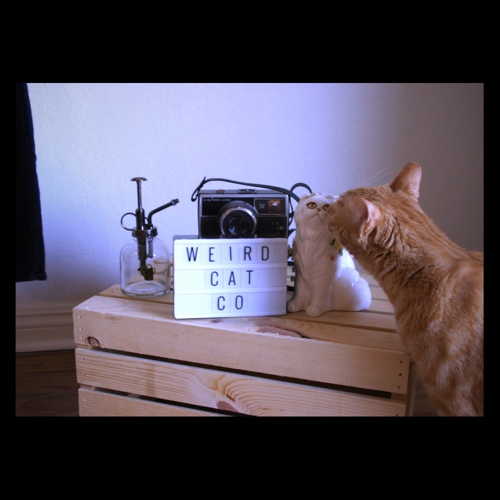 Meet your Posher, Weird